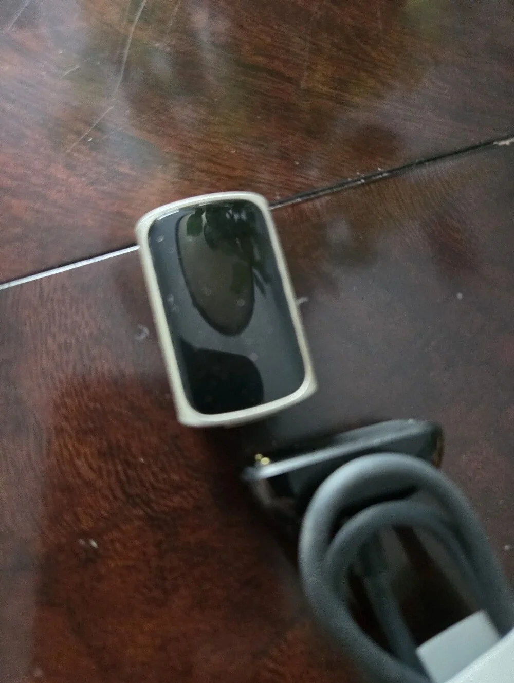 Fitbit Charge 5 W/ Charger